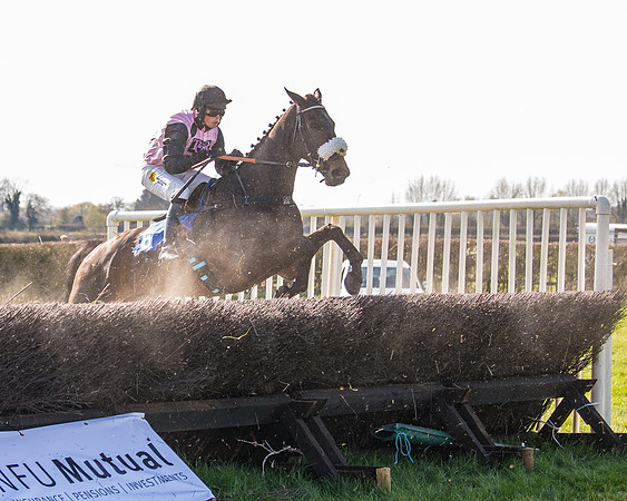 Race 5 - The Waverton Investment Management Ltd Restricted Race farmers and subscribers Race  (97 of 161)