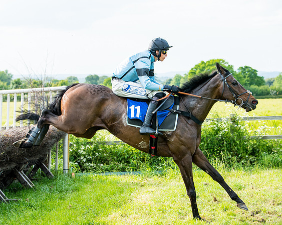 Race 6 - Open Maiden (200 of 346)