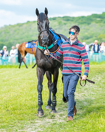 Race 5 - Restricted (51 of 335)