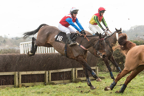 Race 5 - 2M 4F Conditions (46 of 96).jpg