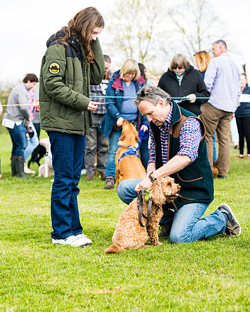 Dog show etc (140 of 157)