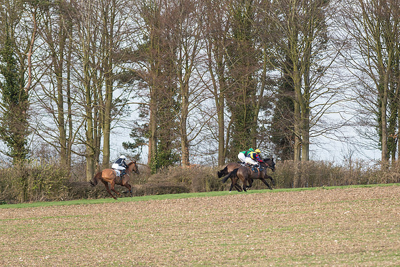 Race 5 - Ladies Open Race (58 of 66).jpg