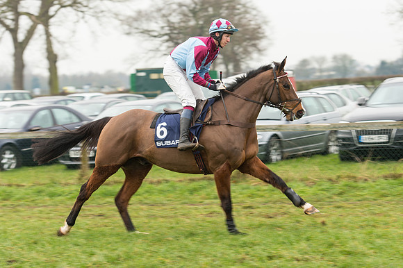 Race 5 - The Restricted Race (26 of 86).jpg