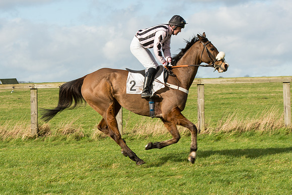 Race 3 - PPORA Members Novice Riders (24 of 84).jpg