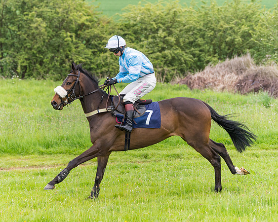 Race 6 - Maiden (7 of 129)