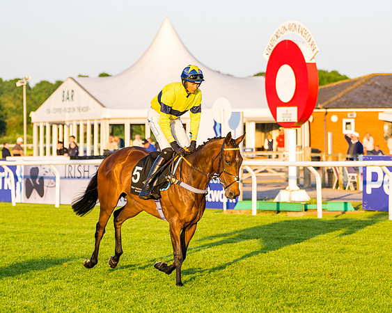 Race 7 - ITM NH Flat Race (49 of 197)