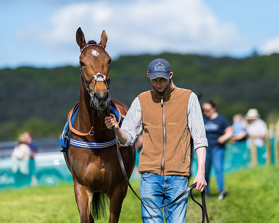 Race 5 - 2m5f Maiden (33 of 144)
