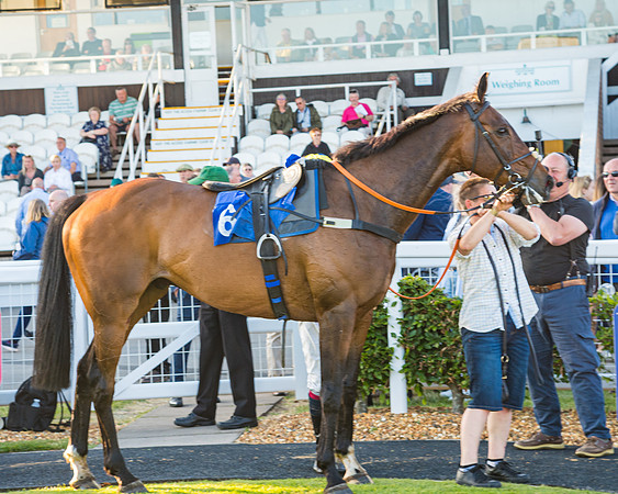 Race 5 - Whitw Swan Handicap (56 of 67)
