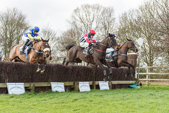Race 3 - PPORA Members Novice Riders (39 of 84).jpg
