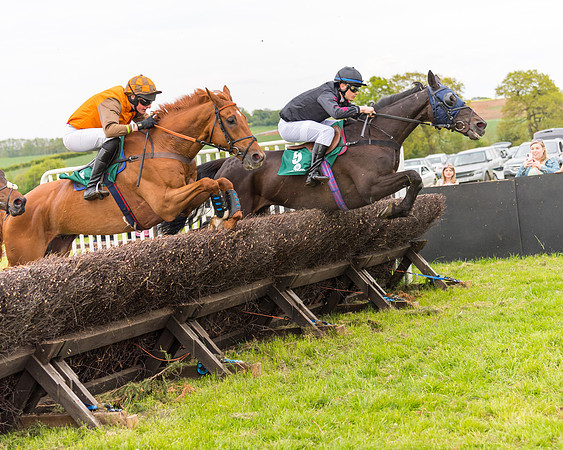 Race 7 - Veteran Horse conditions (116 of 244)
