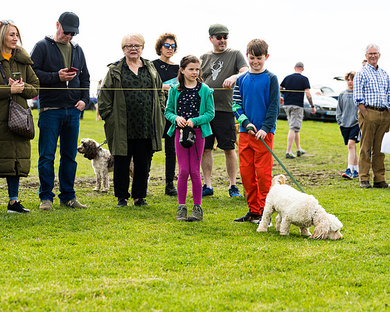 Dog show etc (41 of 157)