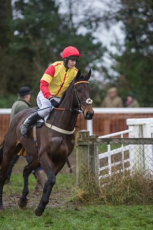 Race 8 - Young Horse Maiden  (11 of 85).jpg