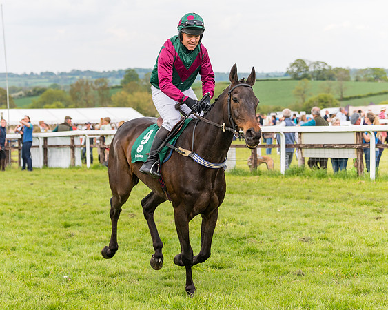 Race 6 = Maiden (46 of 187)