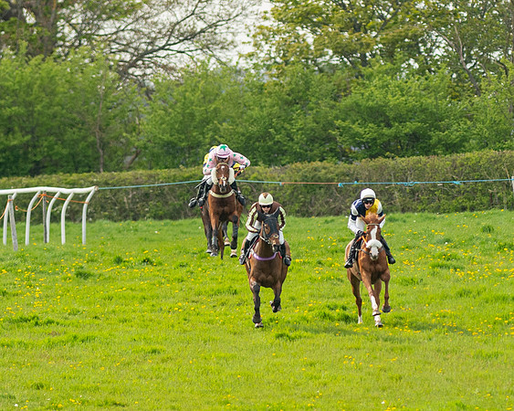 Race 5 - Open Maiden  (28 of 89)
