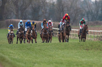 Race 7 - Young Horse Maiden  (9 of 64).jpg