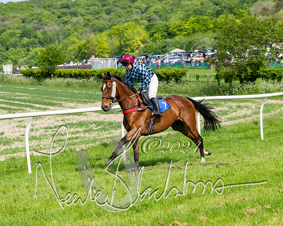 Race 3 - Ladies Open  (41 of 133)
