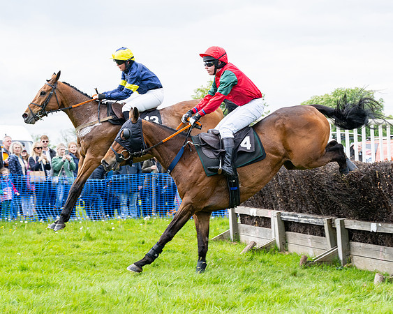 Race 2 - Veteran Horse (48 of 80)