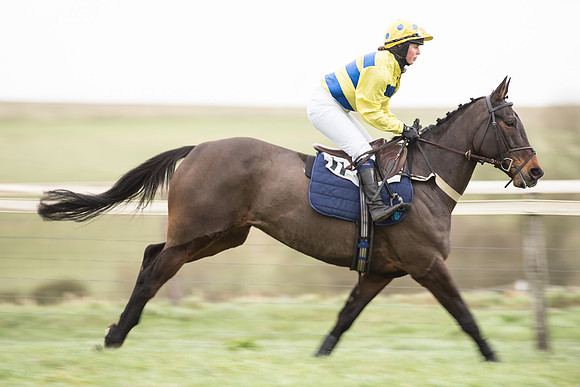 Race 2 - MAres Maiden (7 of 61).jpg