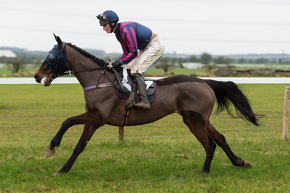 Race 6 - Open Maiden Race Div 2  (17 of 118).jpg