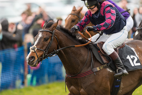 Race 2 - Novice and Veterans   (88 of 101).jpg