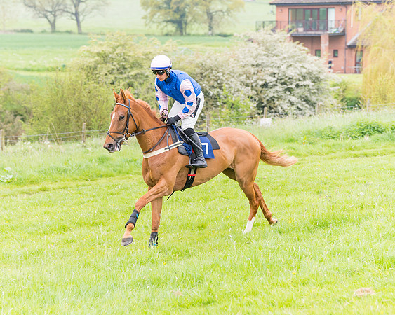 Race 6 - Maiden (12 of 129)