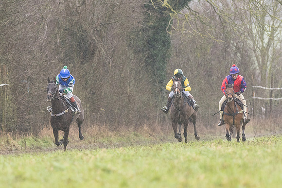 Pony Race 1 -  (5 of 20).jpg
