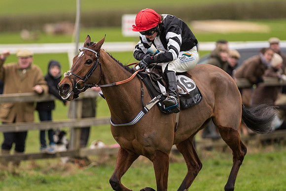 Race 7 - Open Maiden (110 of 131).jpg