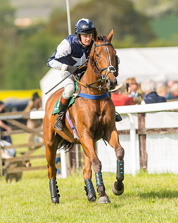 Race 5 - Restricted  (28 of 164)