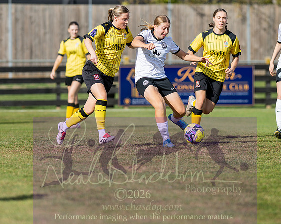 Royston Town 3 v 2 Chesham United (106 of 496)