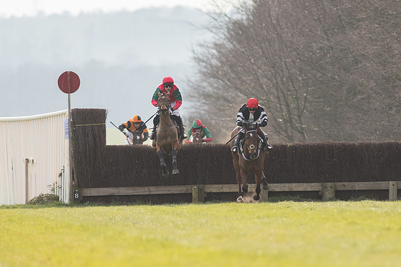 Race 5 - Restricted Race (57 of 98).jpg