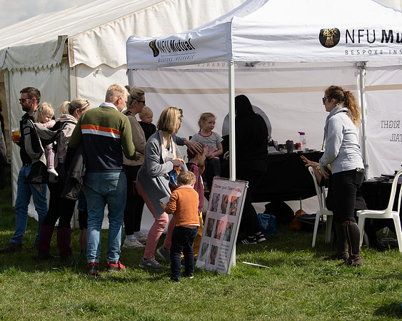Dog show etc (6 of 157)