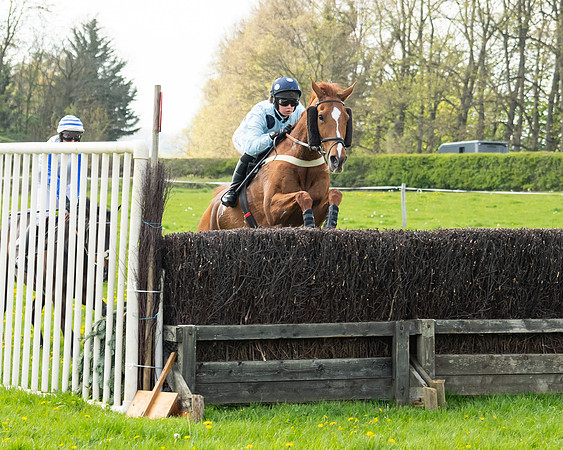 Race 2 - Veteran Horse  (57 of 82)