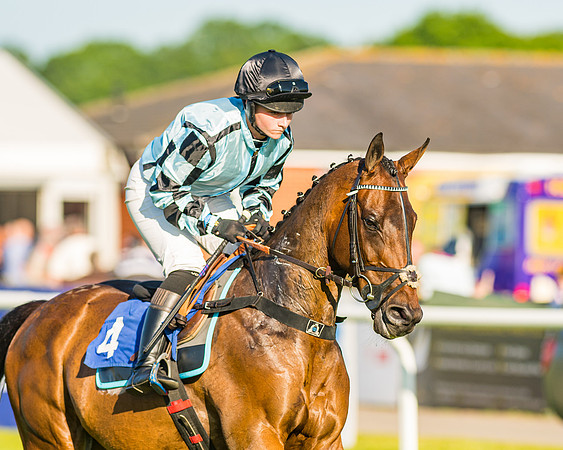 Race 3 - John Corbet Cup (29 of 127)