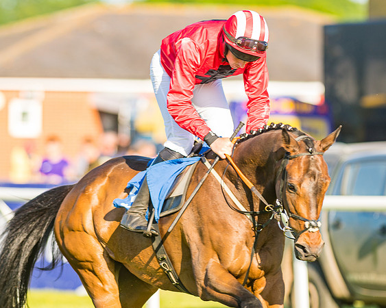 Race 3 - John Corbet Cup (35 of 127)
