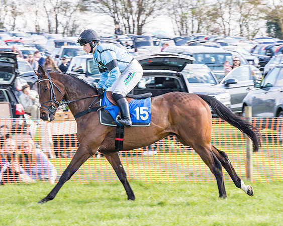 Race 4 - The Warehouse Reit Mixed Open Race  (15 of 124)
