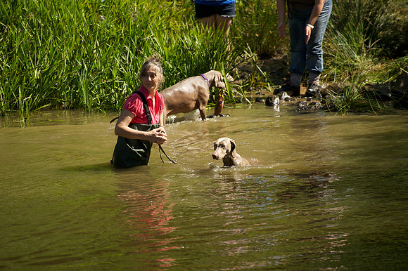 WCGB-04AUG-2013 Water Training Day 166