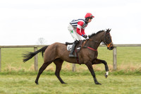 Race 2 - PPORA Novice riders  (34 of 186).jpg