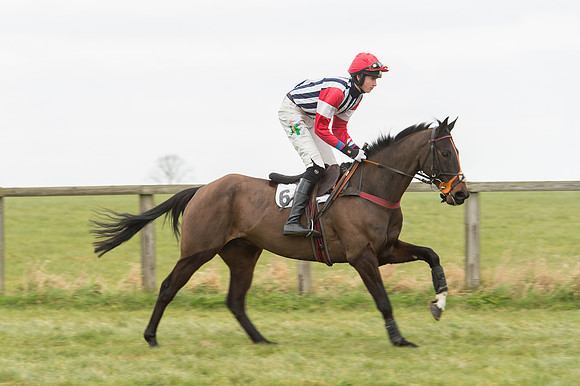 Race 2 - PPORA Novice riders  (34 of 186).jpg
