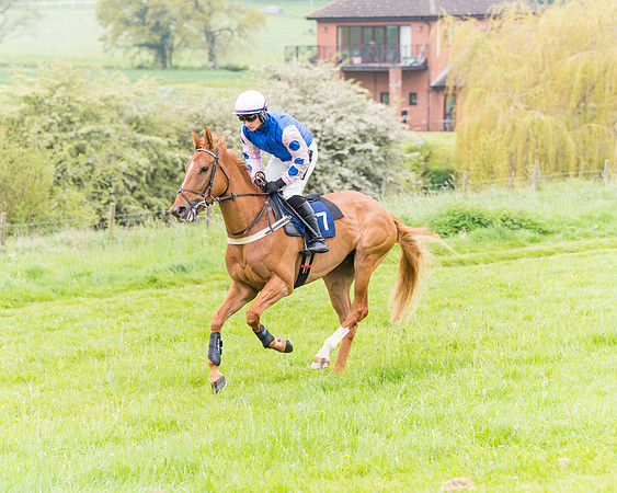 Race 6 - Maiden (11 of 129)