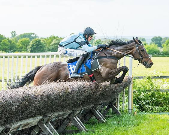 Race 6 - Open Maiden (230 of 346)