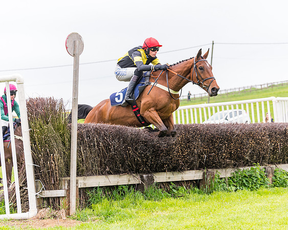 Race 2 - Five and Over restricted (42 of 136)