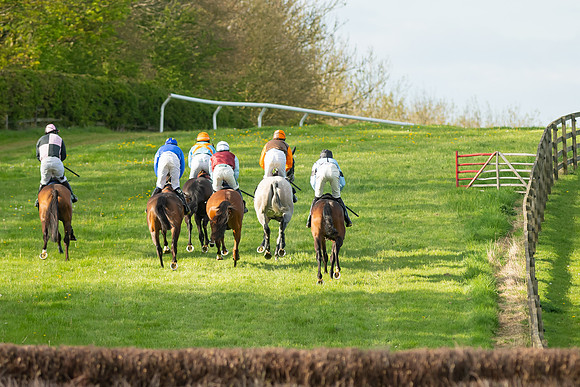 Race 7 - Maiden  (46 of 113)