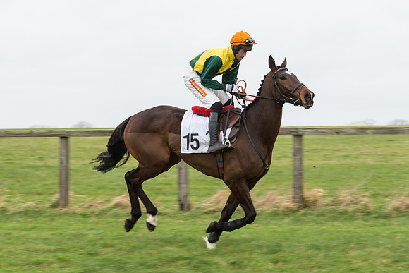 Race 7 - Open Maiden (43 of 131).jpg