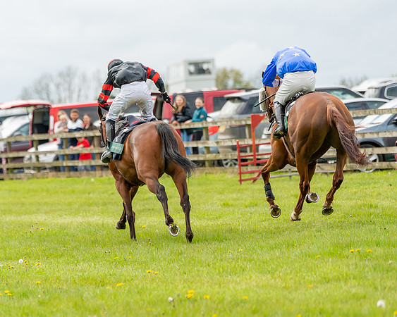 Race 2 - ROR and veteran Horse Conditions race (55 of 77)