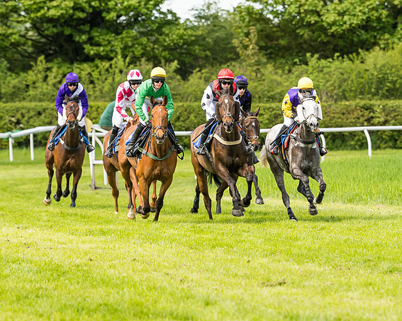 Race 2 - The Restricted Race  (56 of 122)