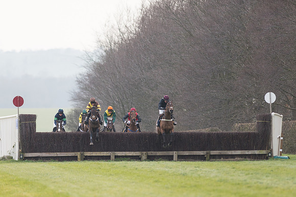 Race 6 Div 2 - Open Maiden  (82 of 131).jpg