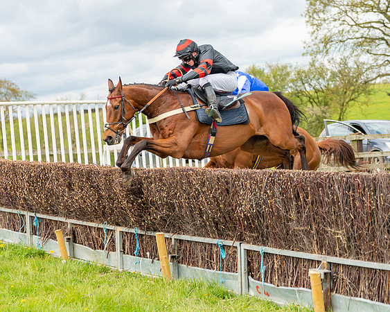 Race 2 - ROR and veteran Horse Conditions race (46 of 77)