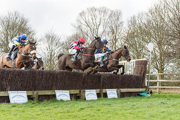 Race 3 - PPORA Members Novice Riders (38 of 84).jpg