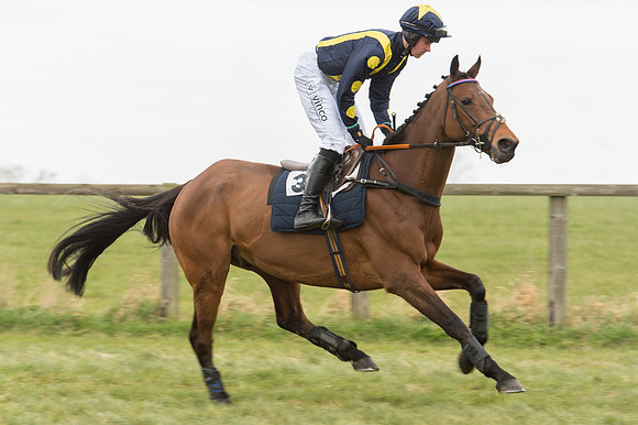 Race 2 - PPORA Novice riders  (56 of 186).jpg