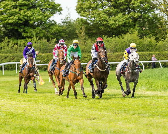 Race 2 - The Restricted Race  (57 of 122)